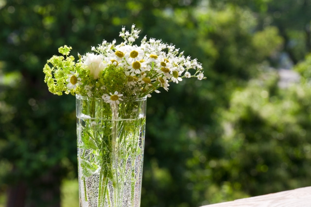 透明なグラスにいけられた白い花々